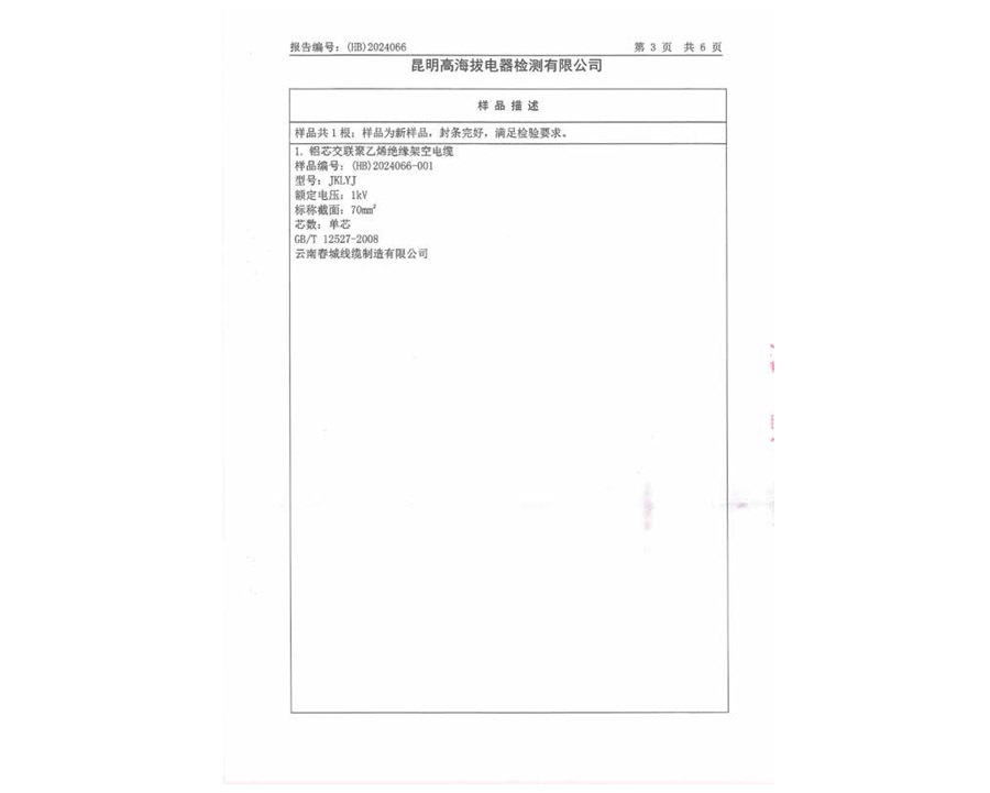 檢驗報告