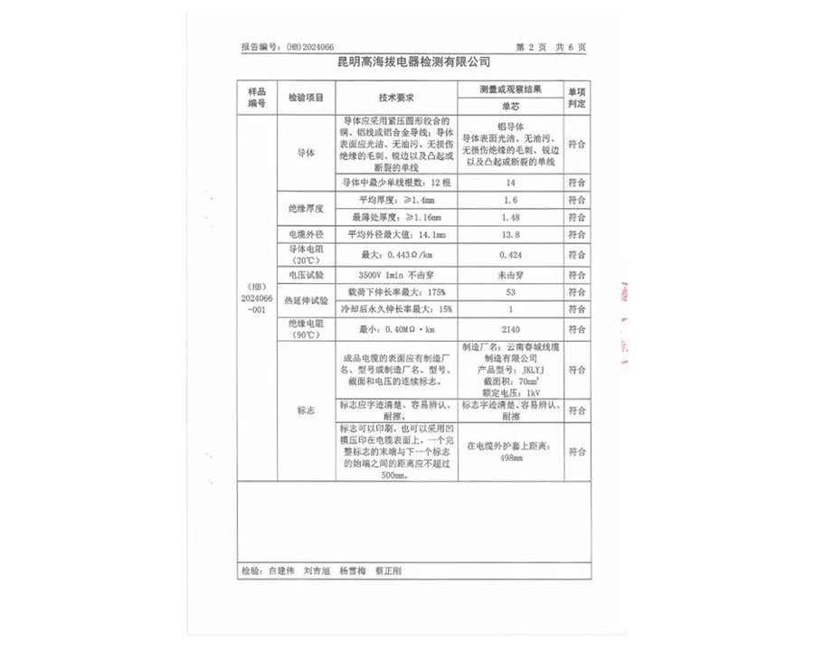 檢驗報告