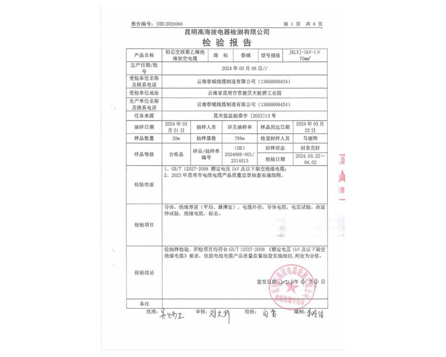 檢驗報告