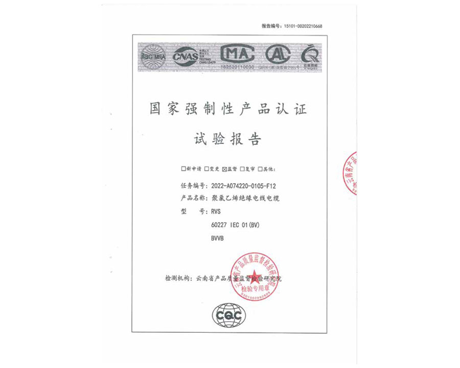 安全監督抽樣試驗報告