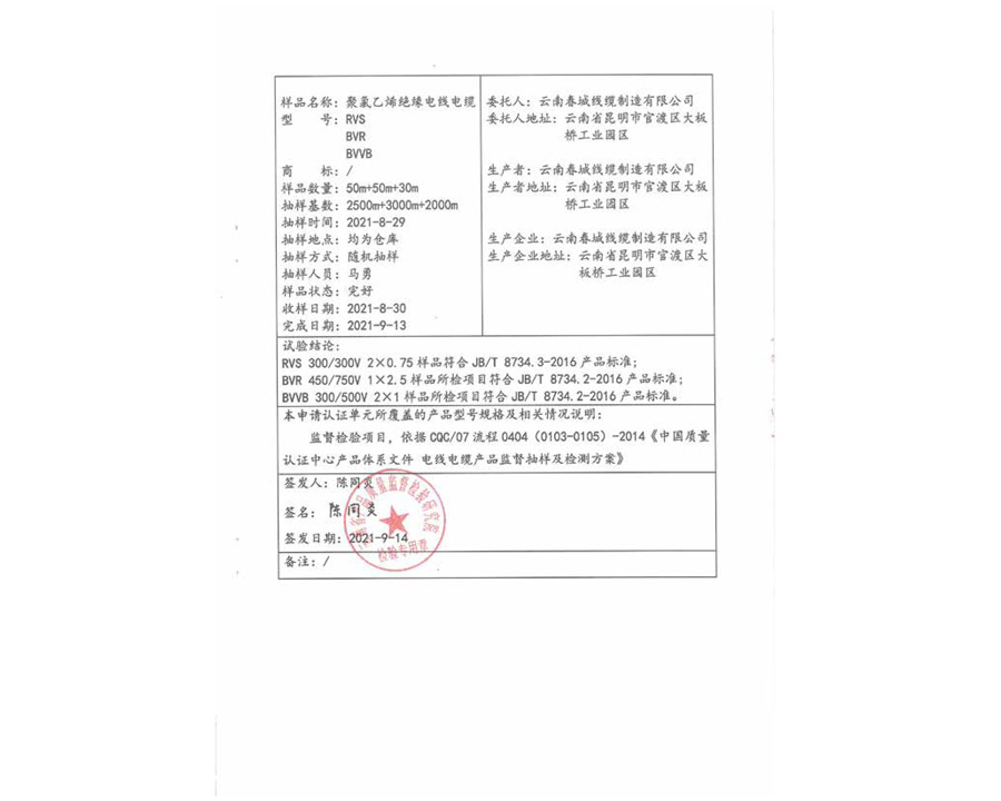 國家強制性產品認證試驗報告