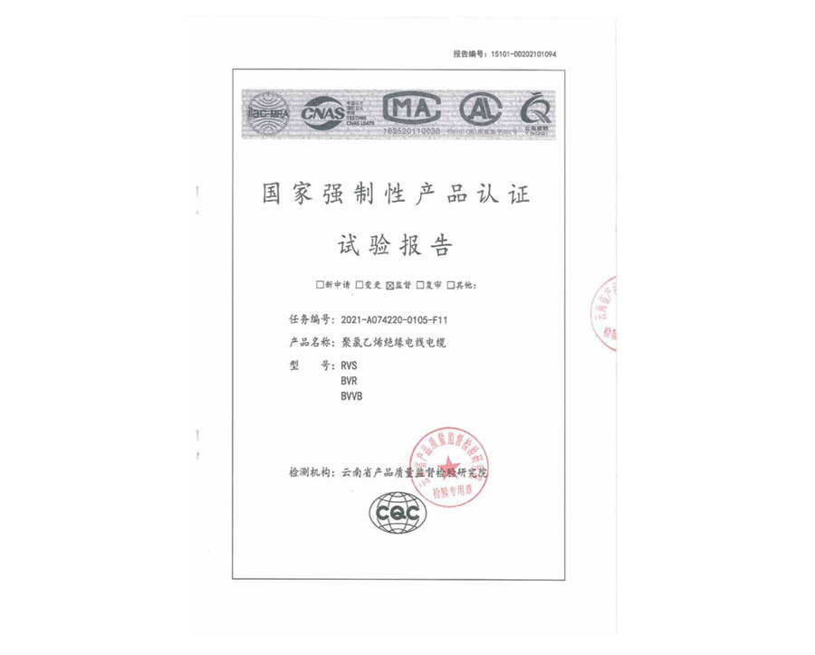 國家強制性產品認證試驗報告
