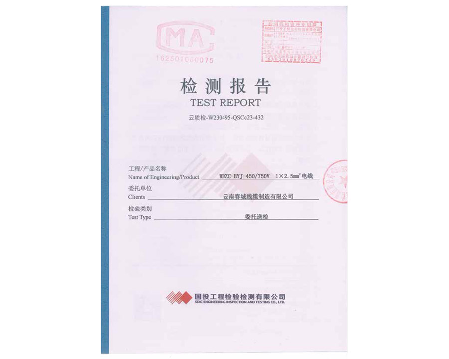 檢測報告