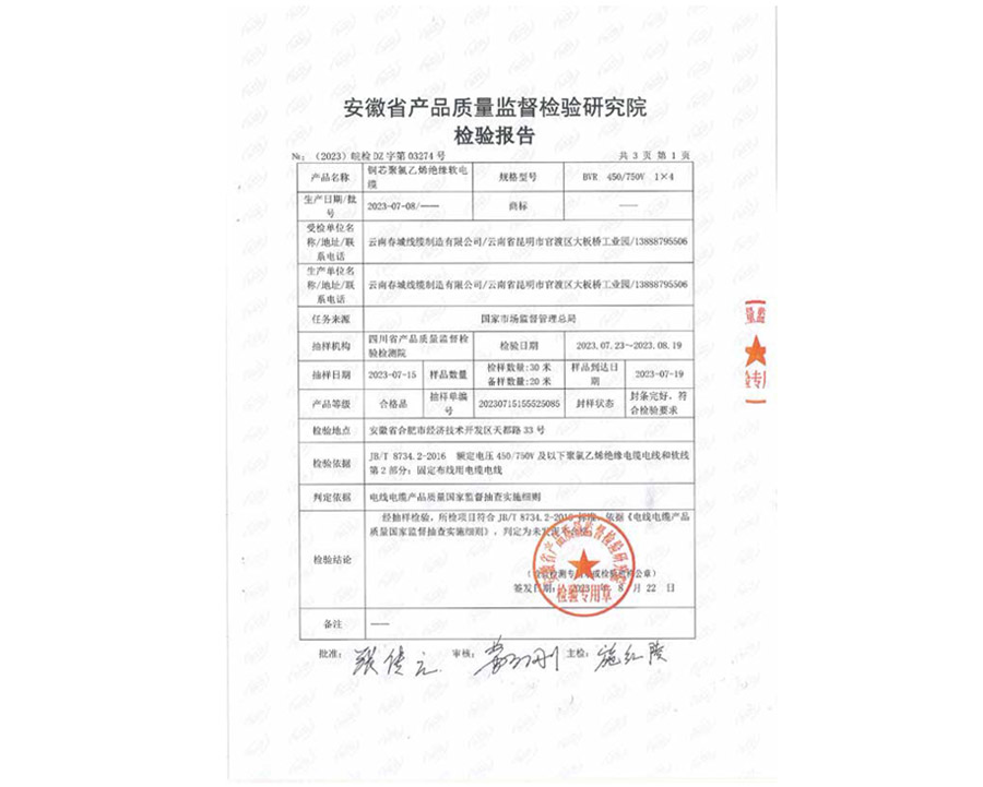 檢驗報告