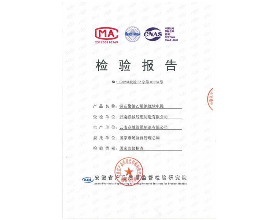 檢驗報告