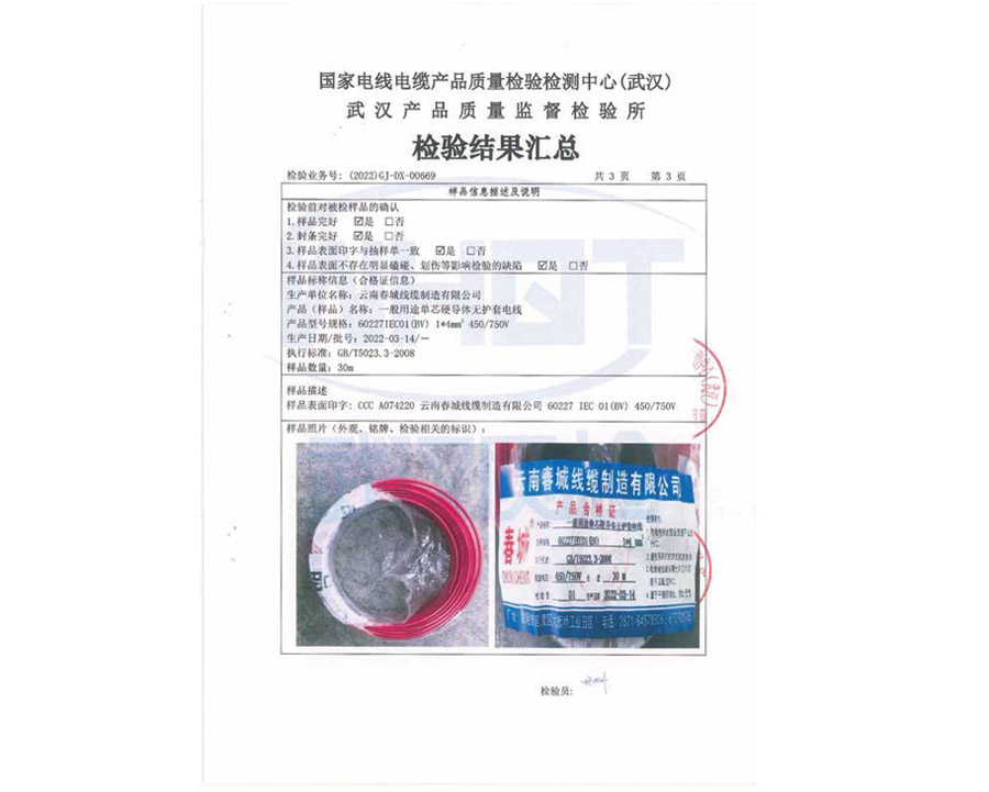 檢驗結果匯總