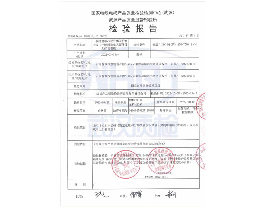 檢驗報告