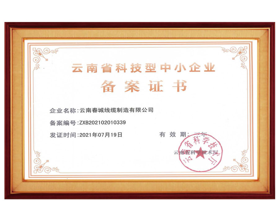 云南省科技型中小企業(yè)備案證書